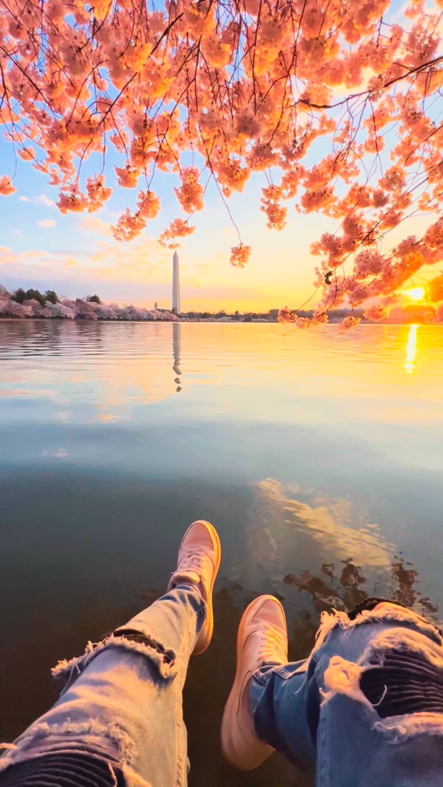 Spring is coming!!! 🌸🌺🌷🌼🌿☔️ Washington D.C. is a vibrant city in the ...