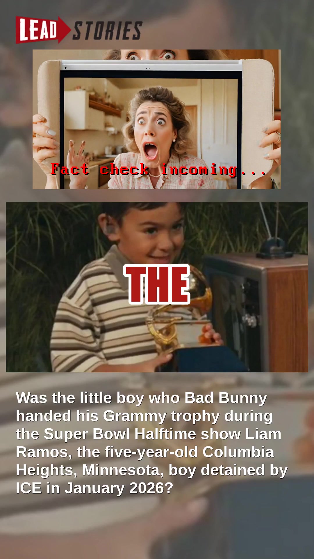 Fact Check: The Boy Who Bad Bunny Gave A Grammy During The Super Bowl ...