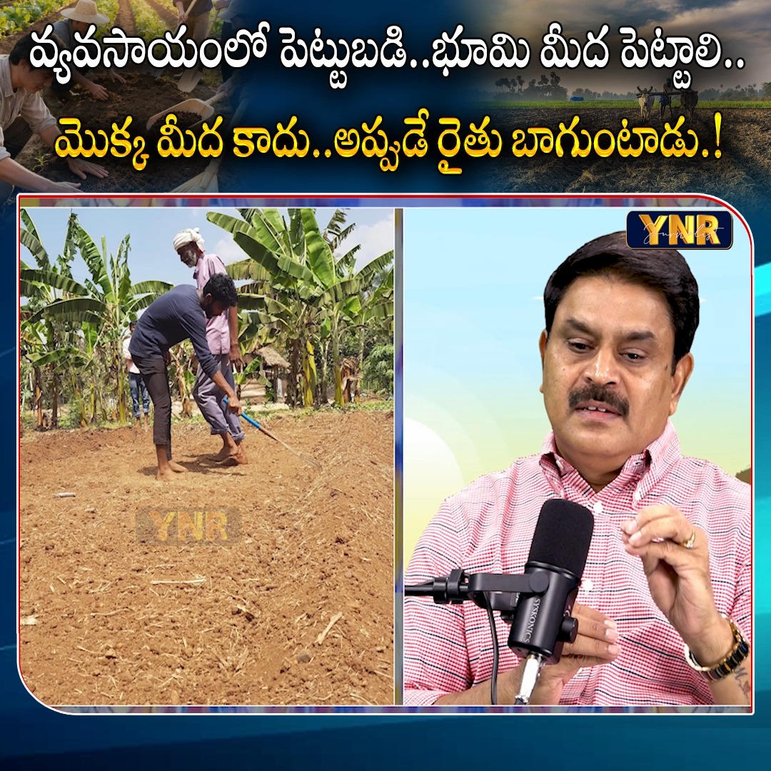 Journalist YNR