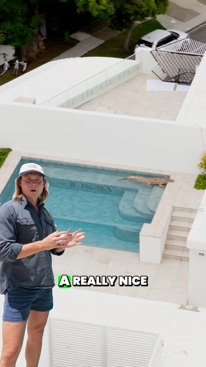 It’s the small details that matter and adding curves to your pool steps ...