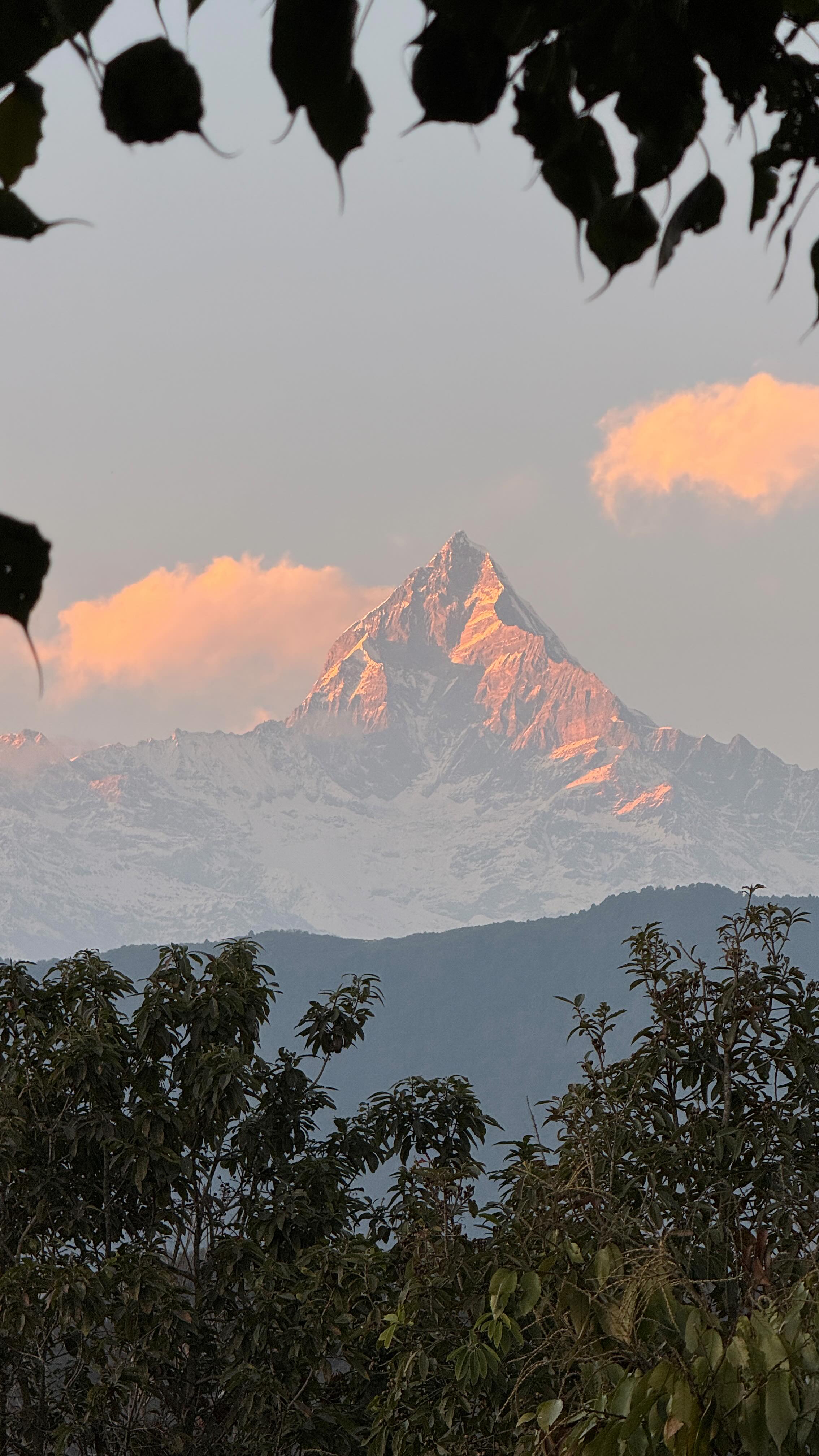Thank you to the youth of Pokhara,Bhalam who choose action over excuses ...