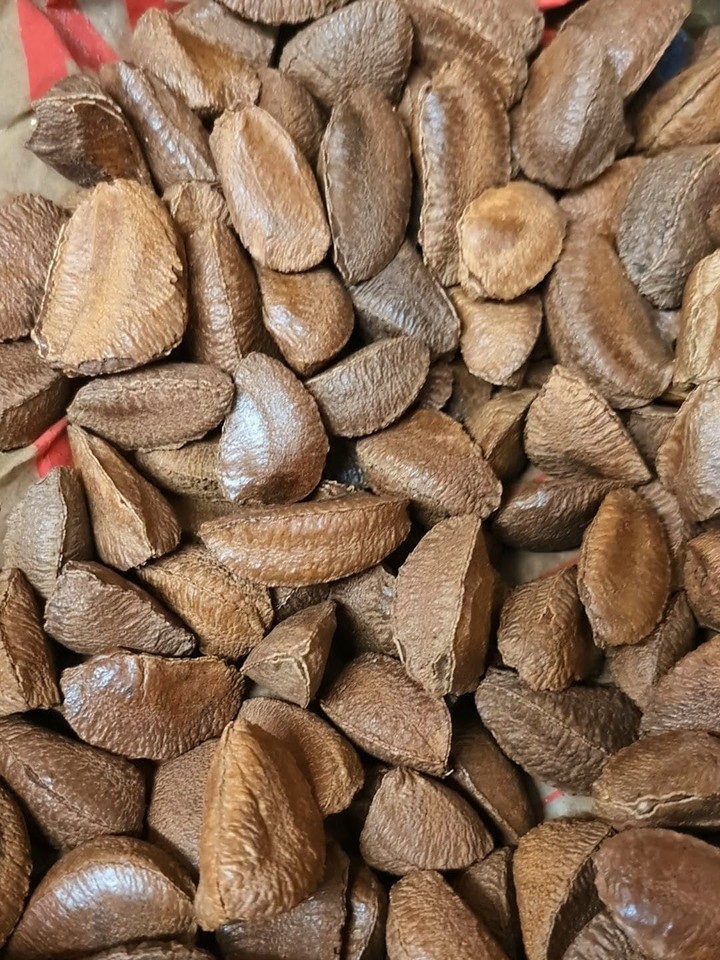 mineral with glutathione peroxidase 🗣️
