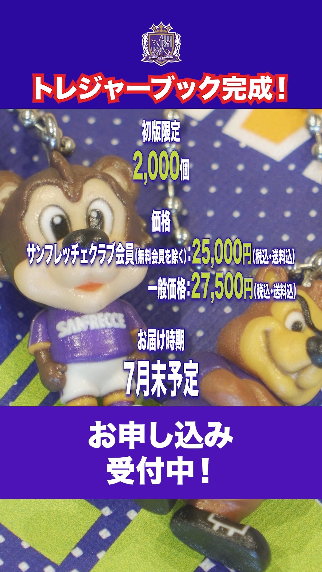 💎𝑻𝑹𝑬𝑨𝑺𝑼𝑹𝑬 𝑩𝑶𝑶𝑲💎 サンフレッチェ広島の歴史と栄光を