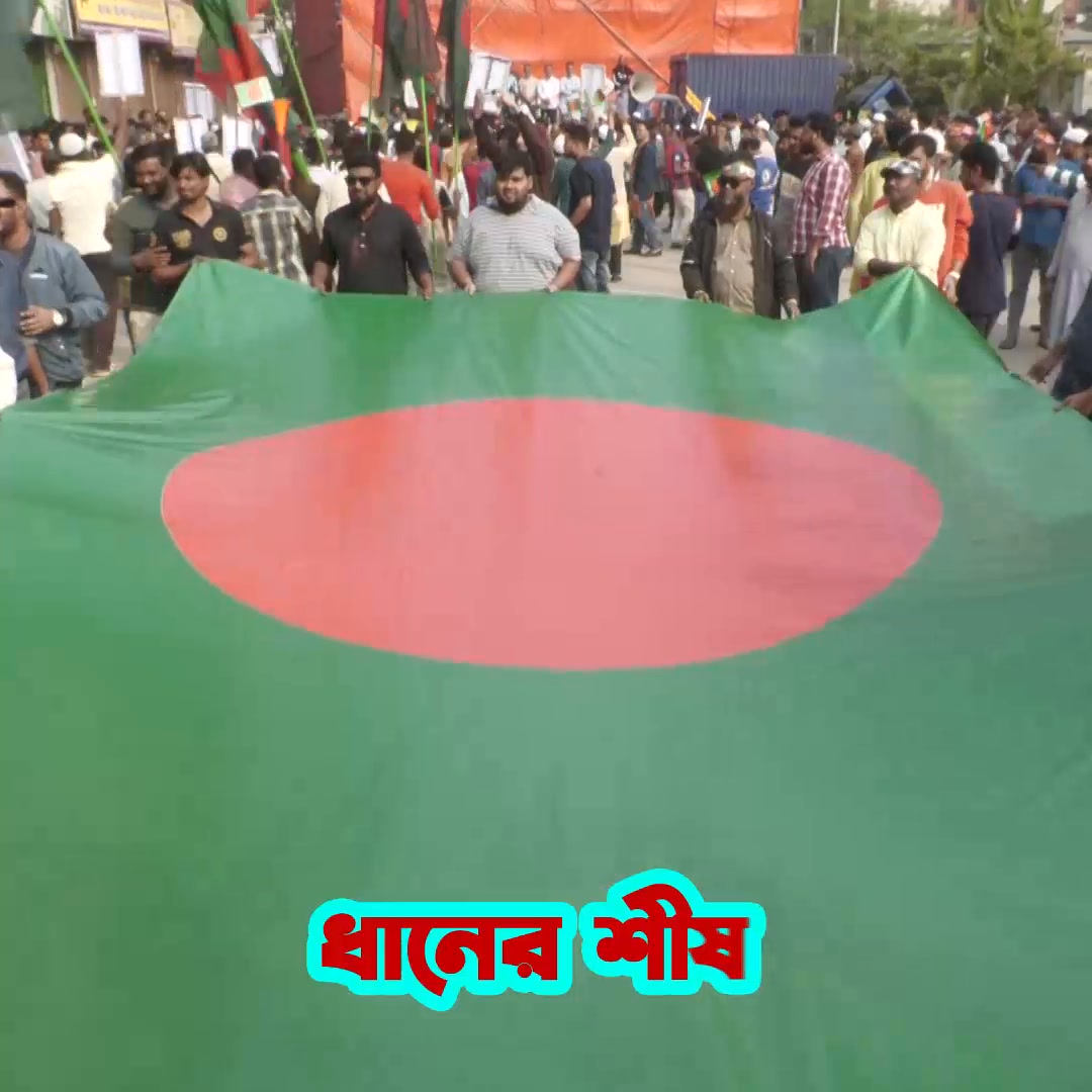 ধানের শীষে ভোট দিন 🌾 #AdminPost #হাবিবুর_রশিদ_হাবিব #Bangladesh 🇧🇩 # ...