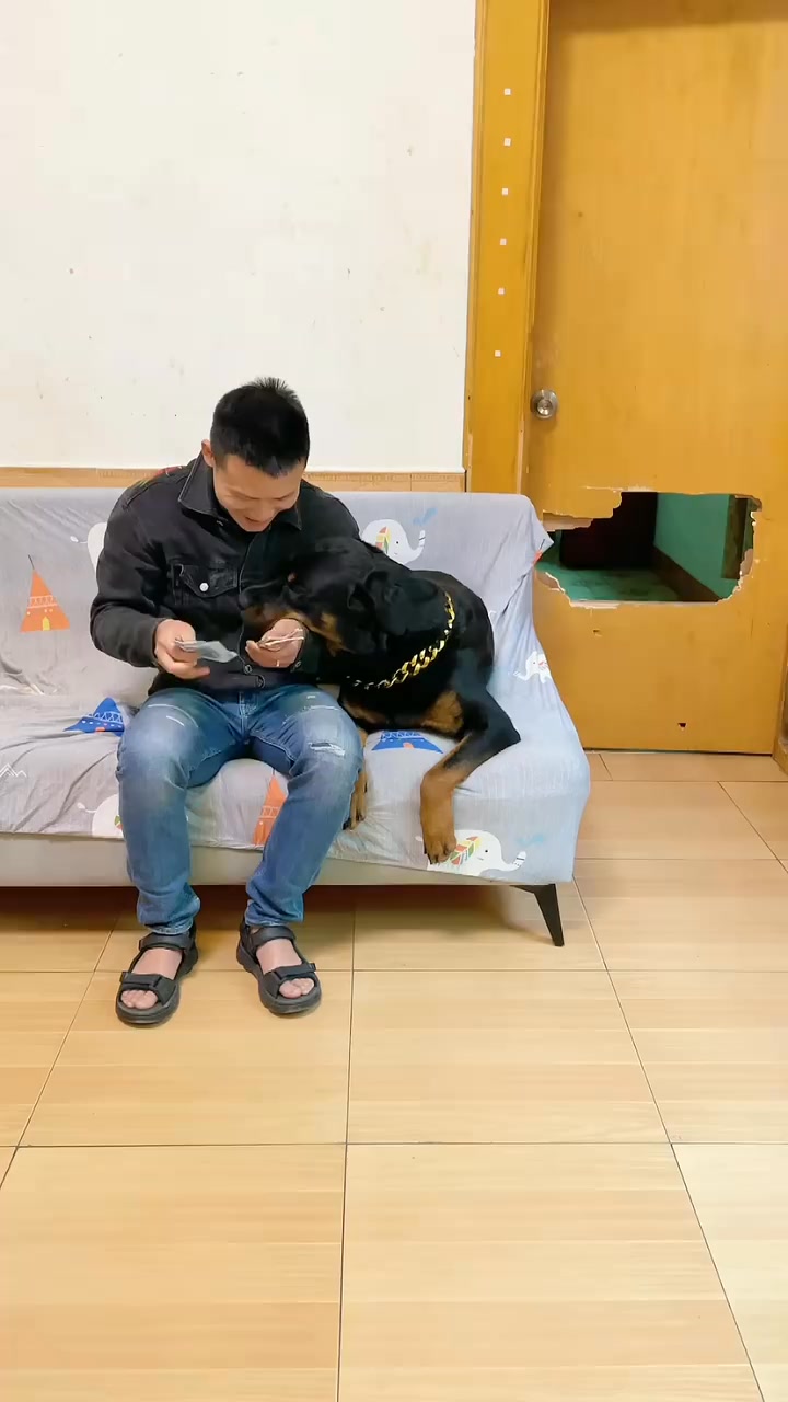 一天天的太不容易了，一坨為這個家簡直操碎了心????多多評論轉發@{uid:1502349662339070,nick:%E7%BB%8F ...