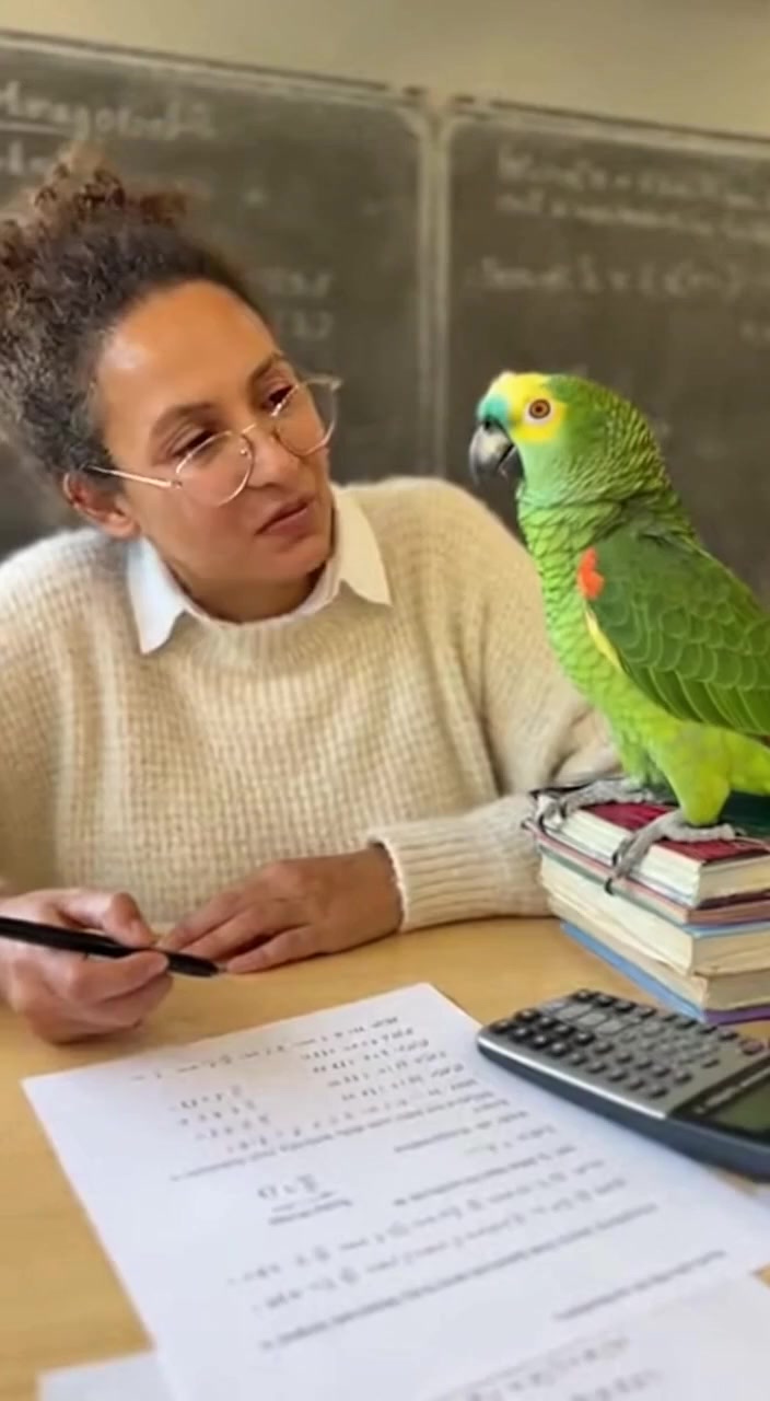 when-the-parrot-outsmarts-the-maths-teacher-a-real-maths-teacher-tests