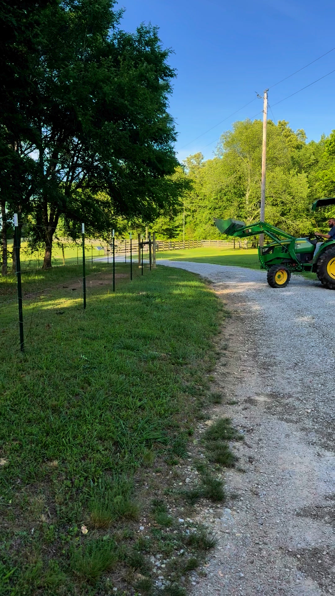 When it’s feed time around here everyone comes a running🤣 | Clanton ...