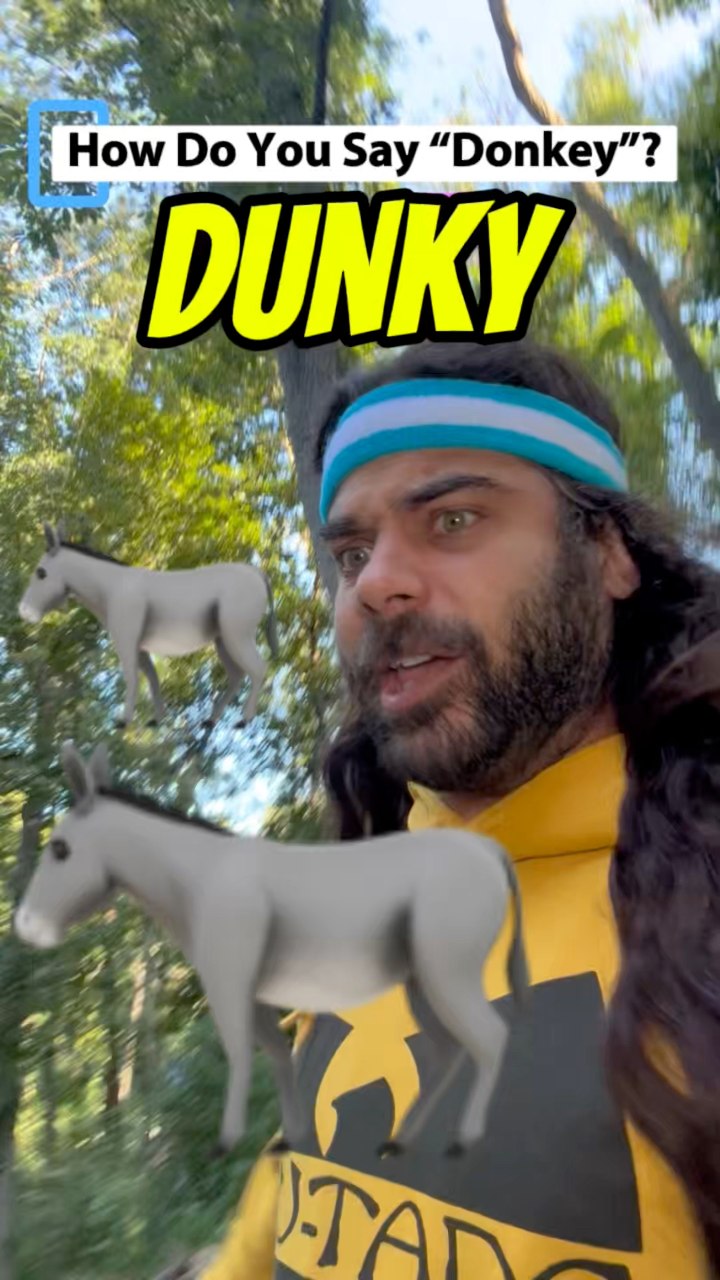 Donkeyです。 How do you pronounce donkey? Some of the people I grew up with