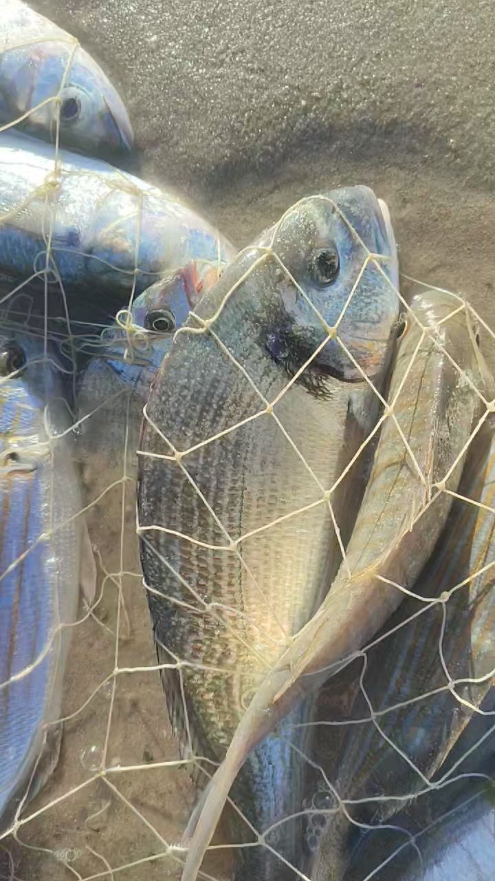 خيرات البحر ما شاء الله #صيد_السمك #رحلة #صيد #fishing | ismail_jlaida ...
