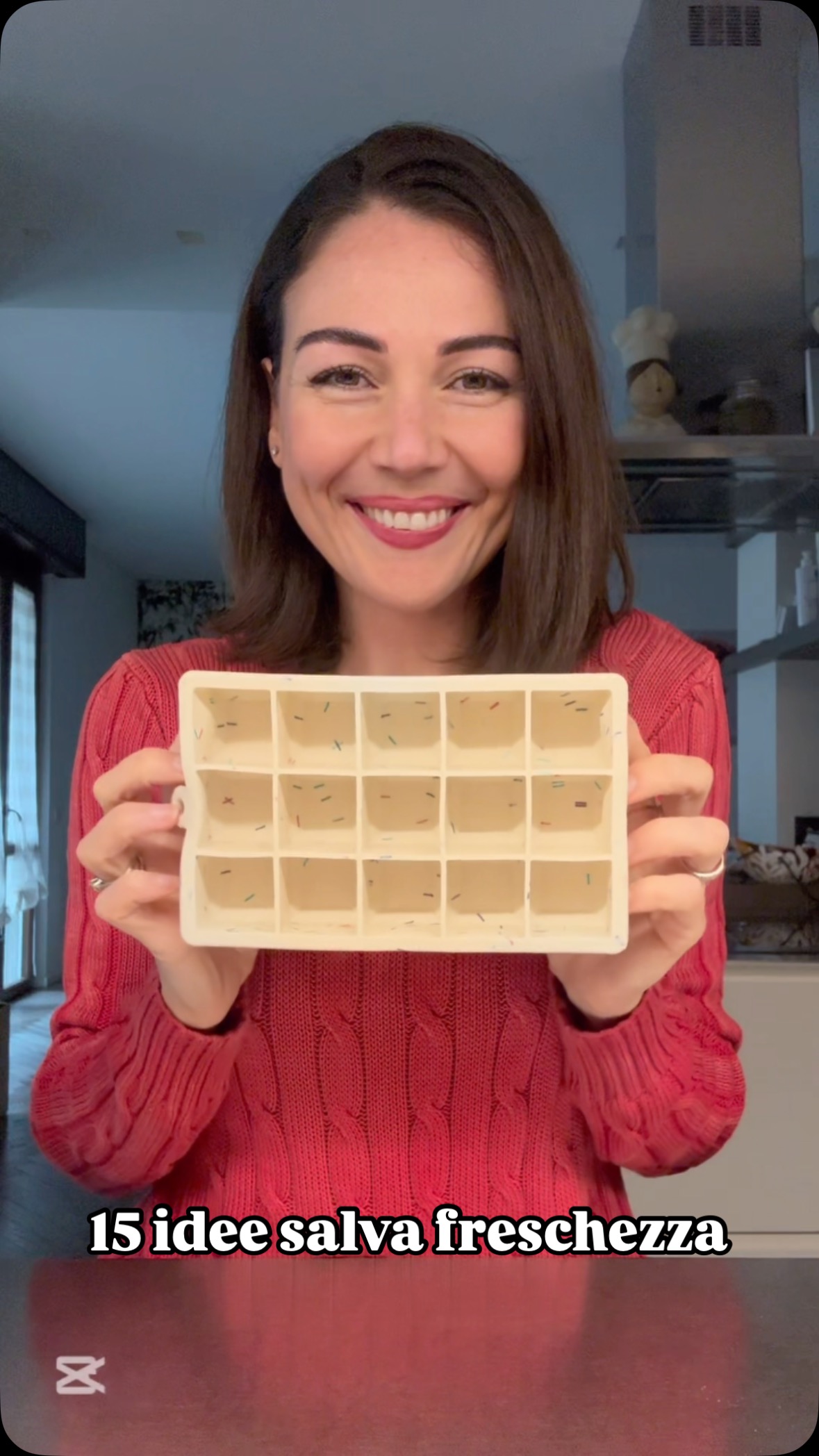 2 Stampi In Silicone Per Congelare Con Coperchio – Super Cubi Per Zuppa, Salsa, Brodo E Pappe, Ermetici E Impilabili