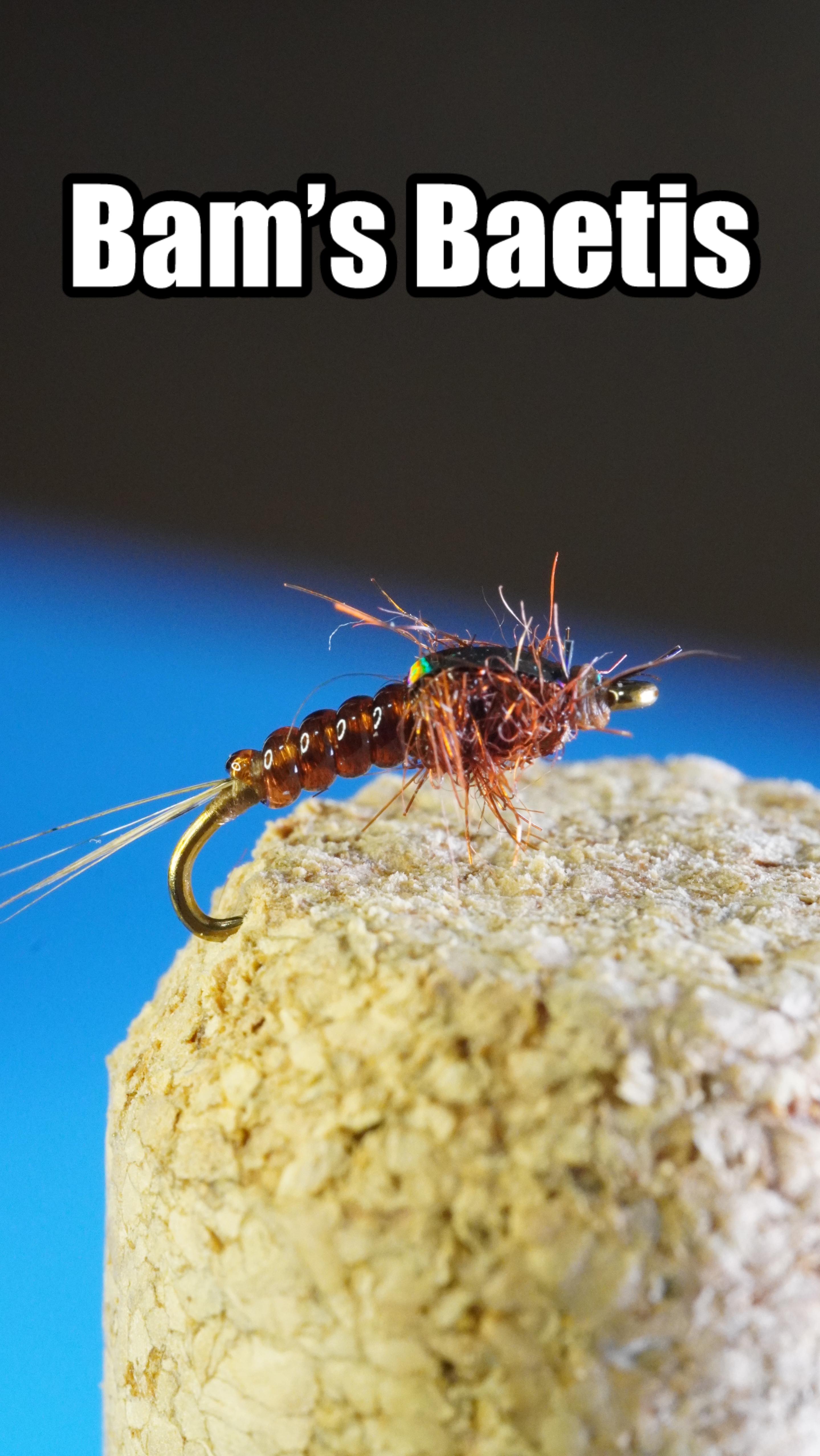 Bam’s Baetis!! Baetis are always hanging around in the water but I’ve ...