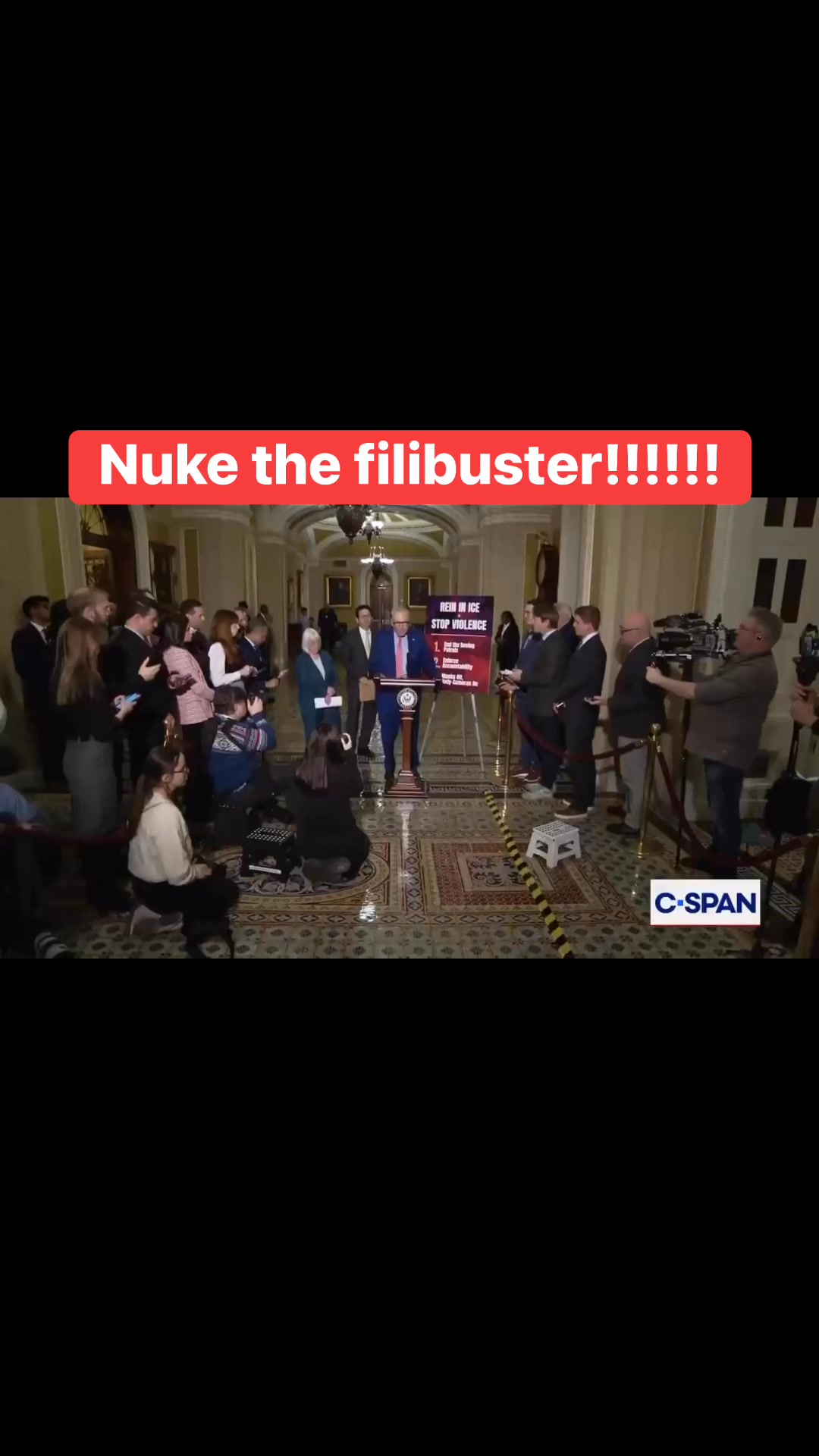🚨Breaking: Chuck Schumer just stated the Democrat Party will now fight ...