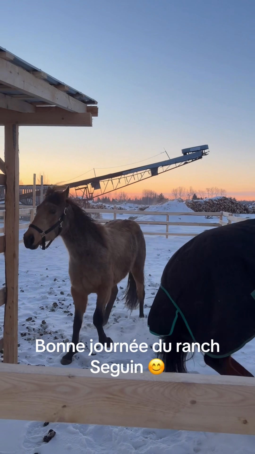 Bonne journée du ranch Seguin | Normand Seguin Scierie | Facebook