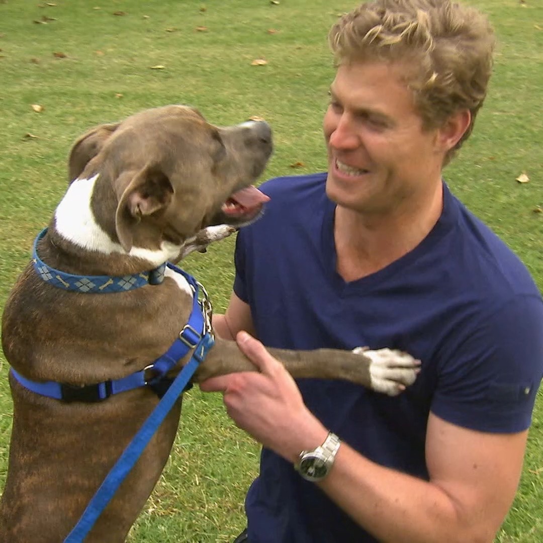 bpc-157 for dogs reddit Dog was born with a genetic deformity 🐶 He undergoes a revolutionary cleft palate operation 🙏 | Bondi Vet b12 injections alexandria va Size:1 OZ all-no-dg