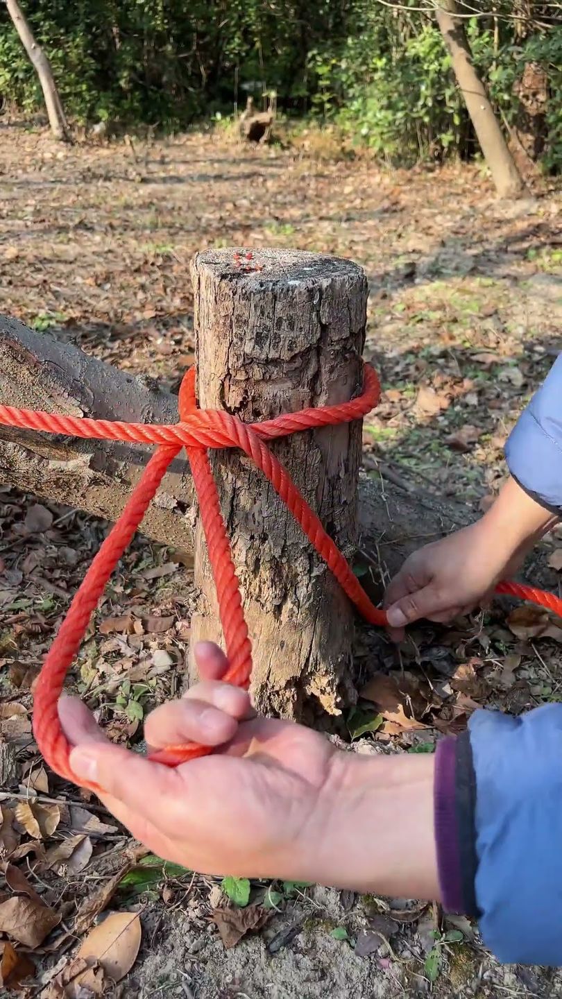 Wow, An incredible rope knot trick in the forest.🪢 #knot #rope # ...