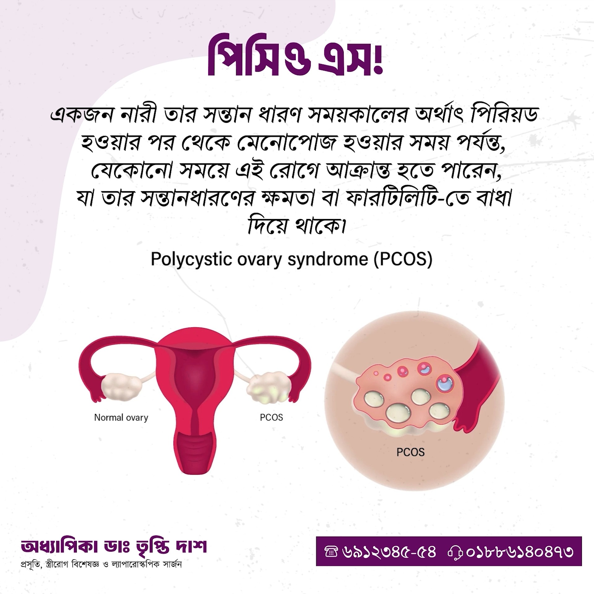 Prof Dr Tripti Rani Das -Gynecologist | Dhaka