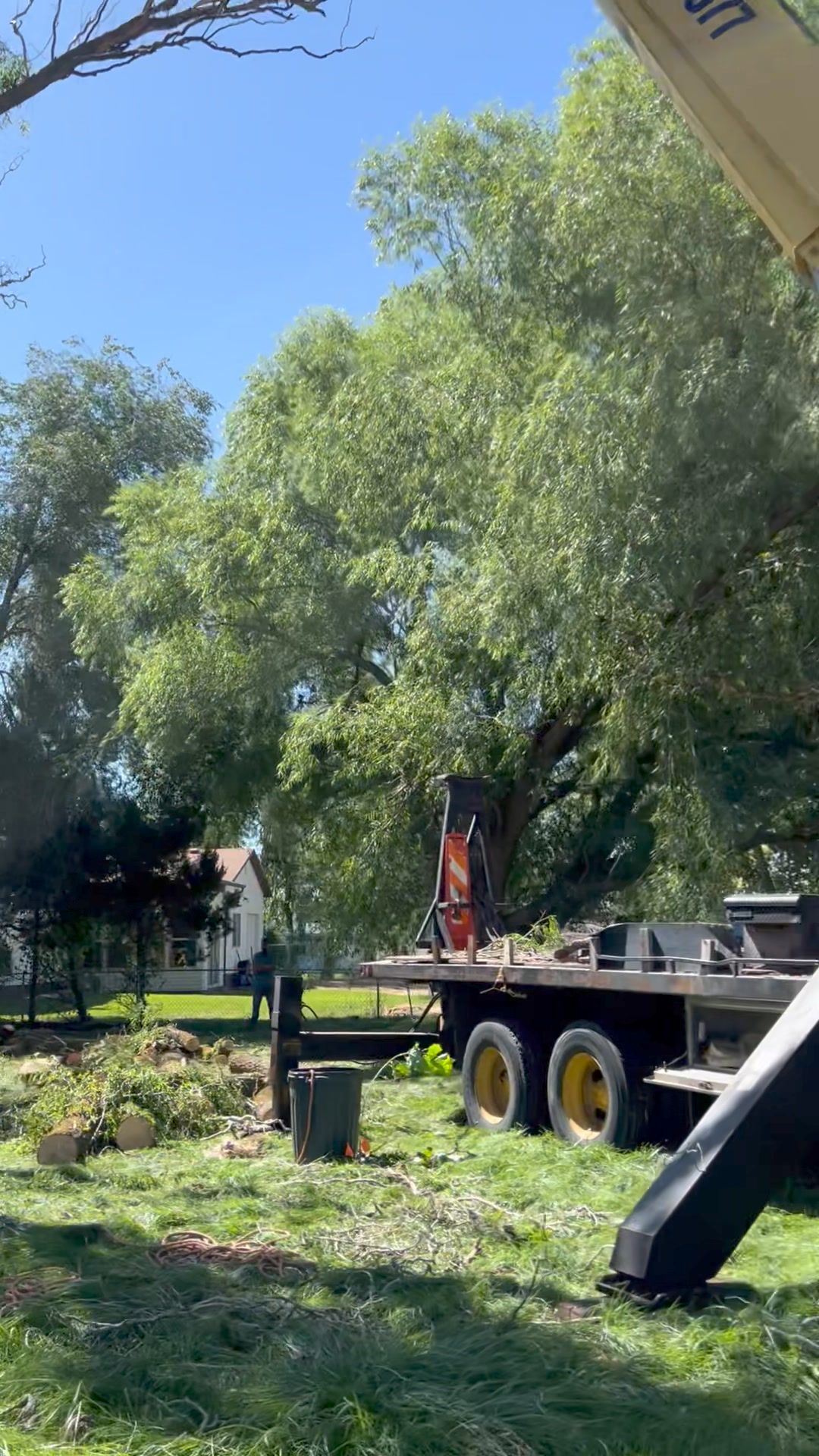 Weber Davis Tree Service | Ogden UT