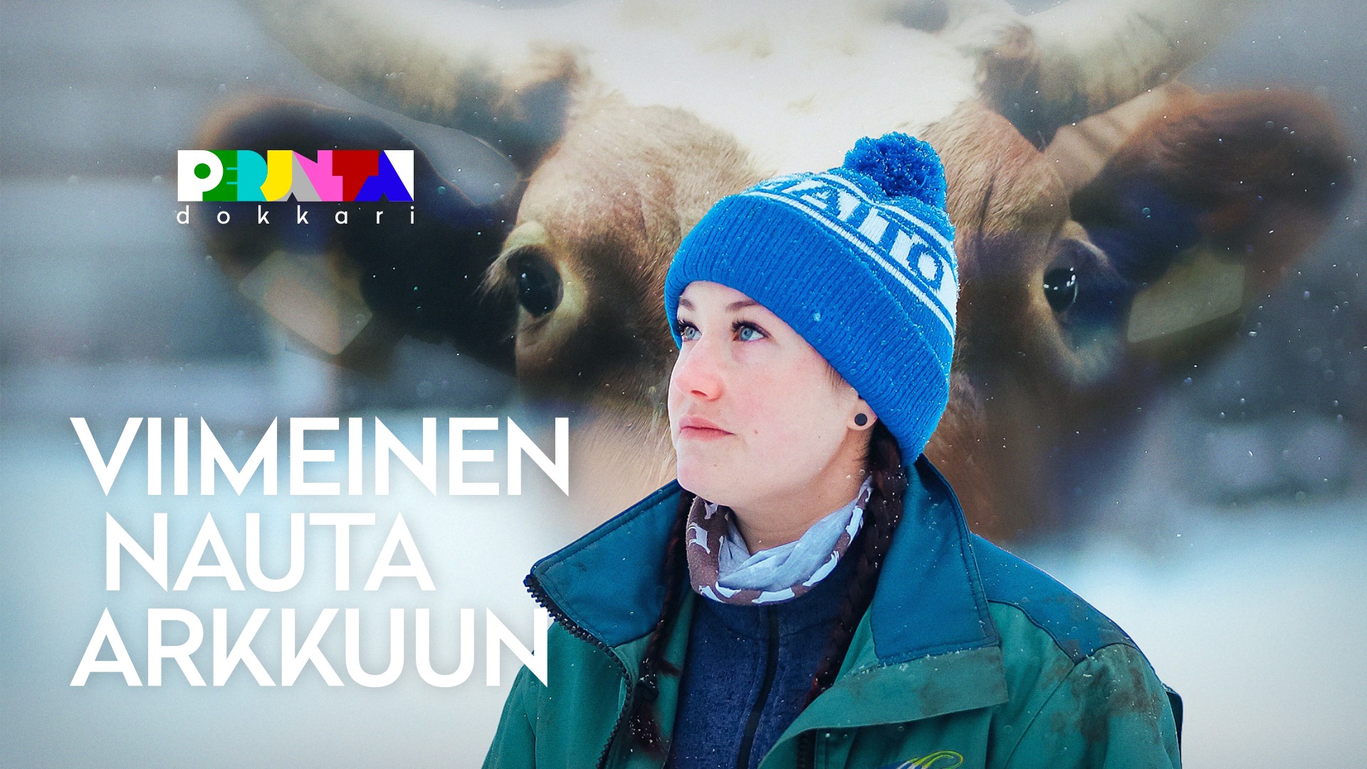 Perjantai-dokkari: Ei ystäviä teurasautoon | Sarianna on tehnyt ...