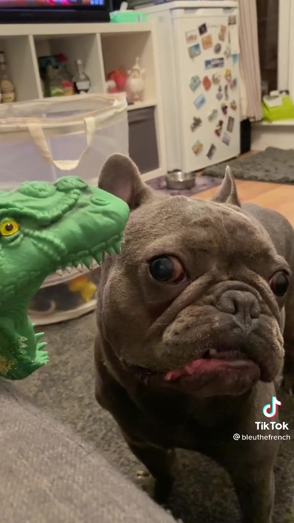 If l don't move he can't see me, I saw It Jurassic Park! Credit ...