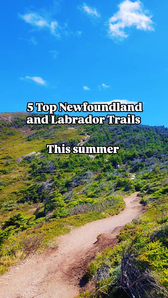 These are 5 top trail👣 to hike this summer. | Visit Newfoundland and ...
