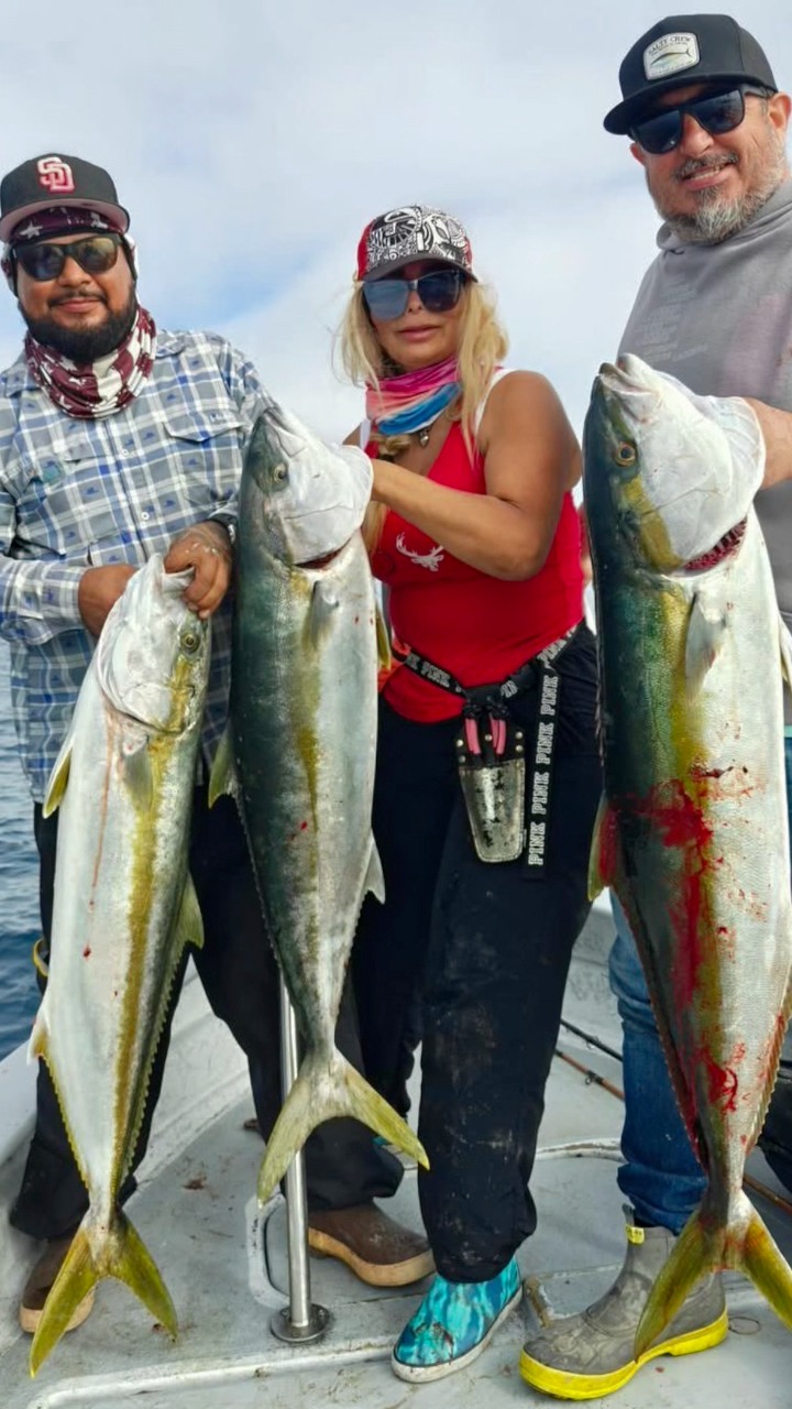 big hook sport fishing ensenada Mustad 7691S-SS Game — HiFishGear Big Baja Roosterfish Lead The