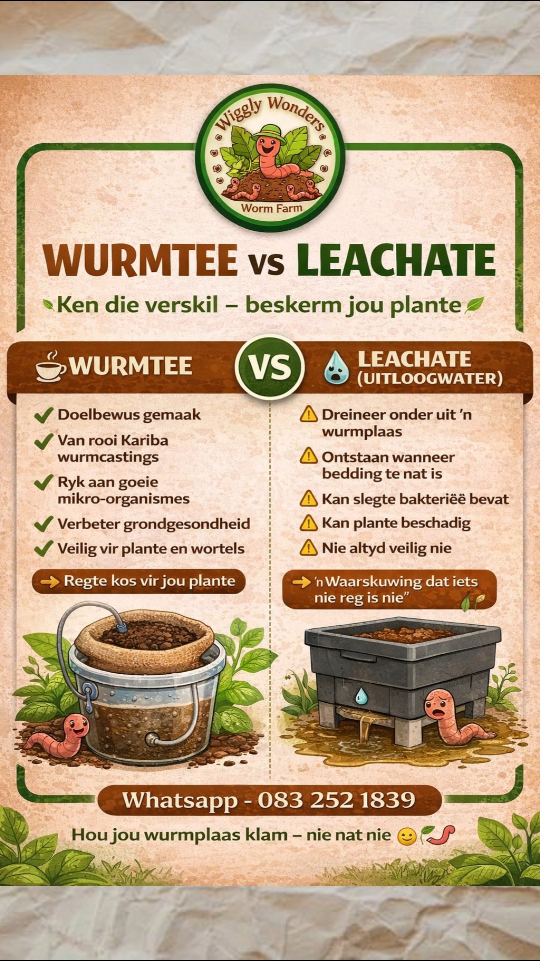 Rooi Kariba wurmtee vs leachate. Hier wys ek hoe om rooi kariba wurmtee ...