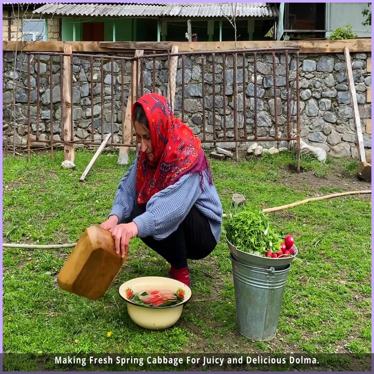 Making Fresh Spring Cabbage For Juicy and Delicious Dolma. | white ...