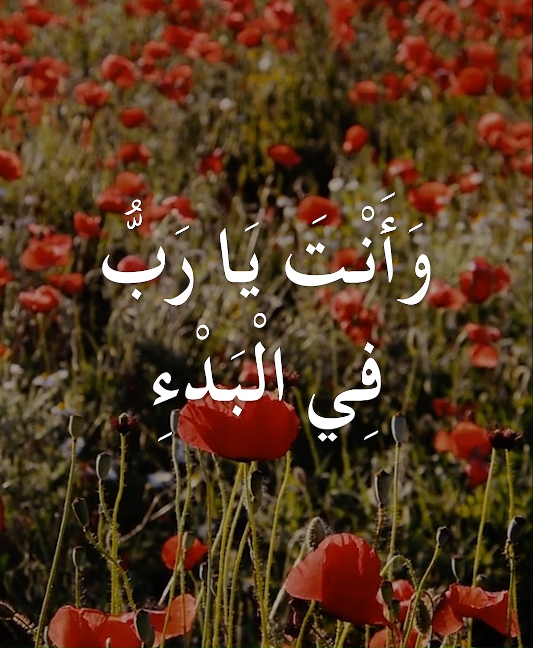 أنت يا رب في البدء أسست الأرض، والسماوات هي عمل يديك. هي تبيد ولكن أنت ...