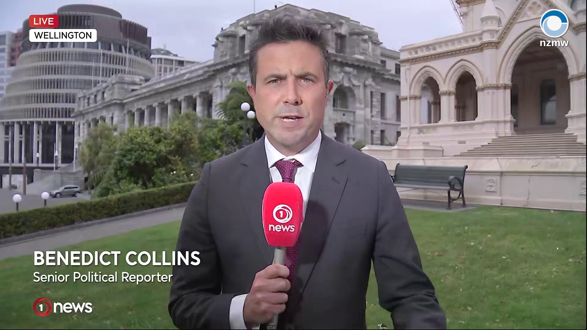 1News Benedict Collins 