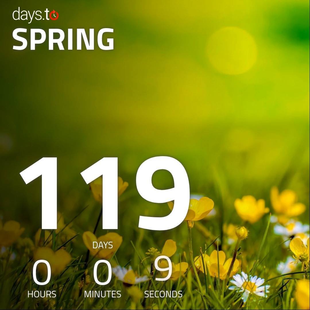 🌞 Another week closer! .. #Spring is now only 17 weeks away 🌼💐🐑 ⏳ For a ...