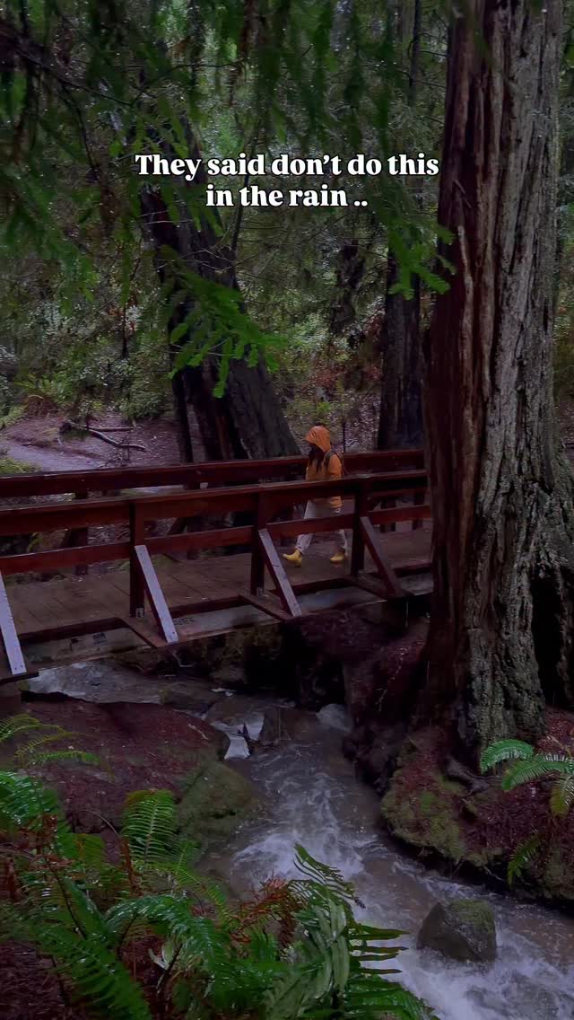 Hiked steep ravine in the middle of a storm and it turned into a full ...