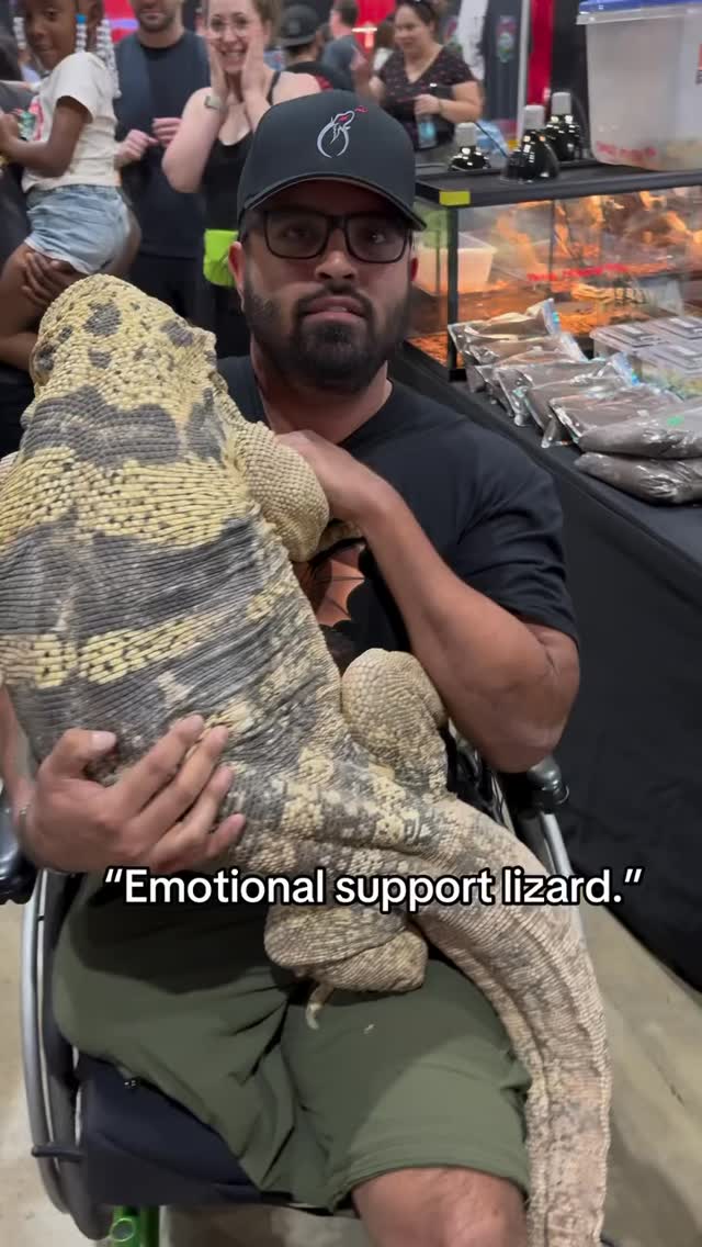 Krono the giant monitor lizard at the last Reptile Super Show with ...
