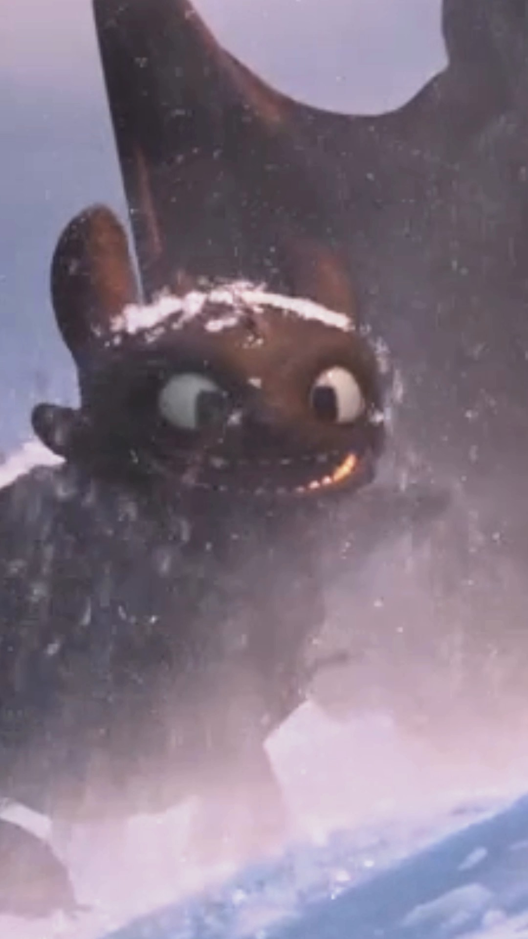 Gracing your feed with 14 seconds of Toothless being cute in the snow ...