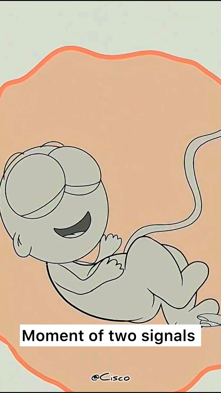 When the baby gets some signals 🤣🤣. #memes #shorts #animation #funny ...