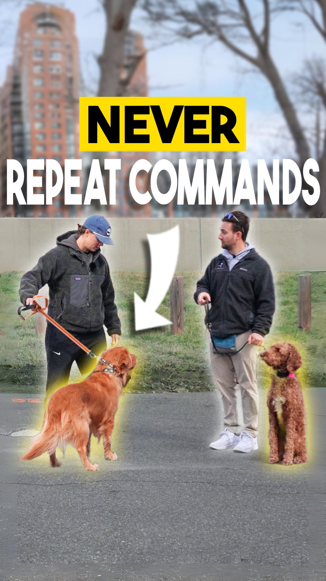 Do you repeat your dogs commands? If you do, I’d be willing to bet your ...