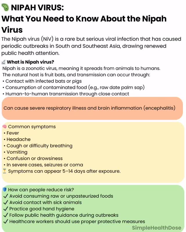 🦠 Rising Concern: What You Need to Know About the Nipah Virus The Nipah ...