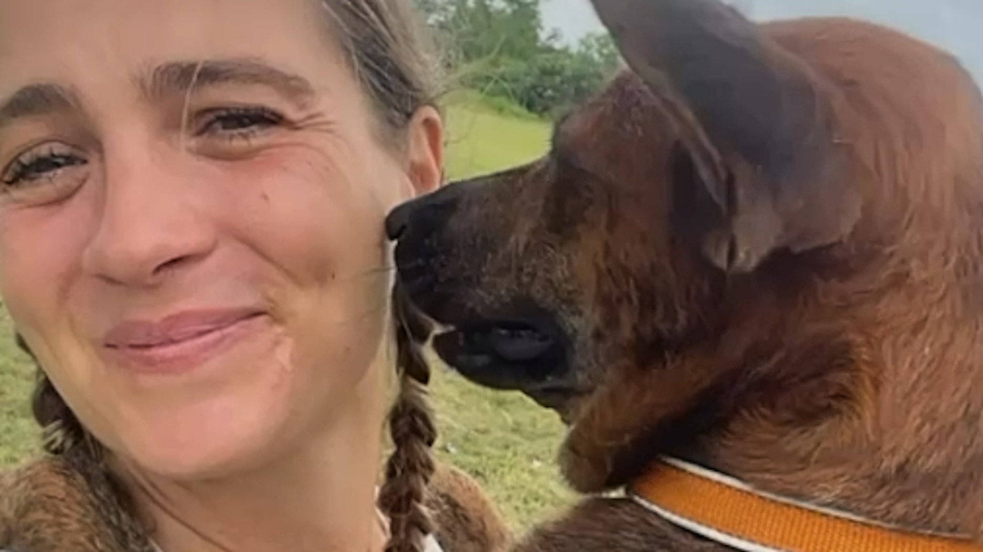 Street dog's emotional response to love We interviewed instagram.com ...