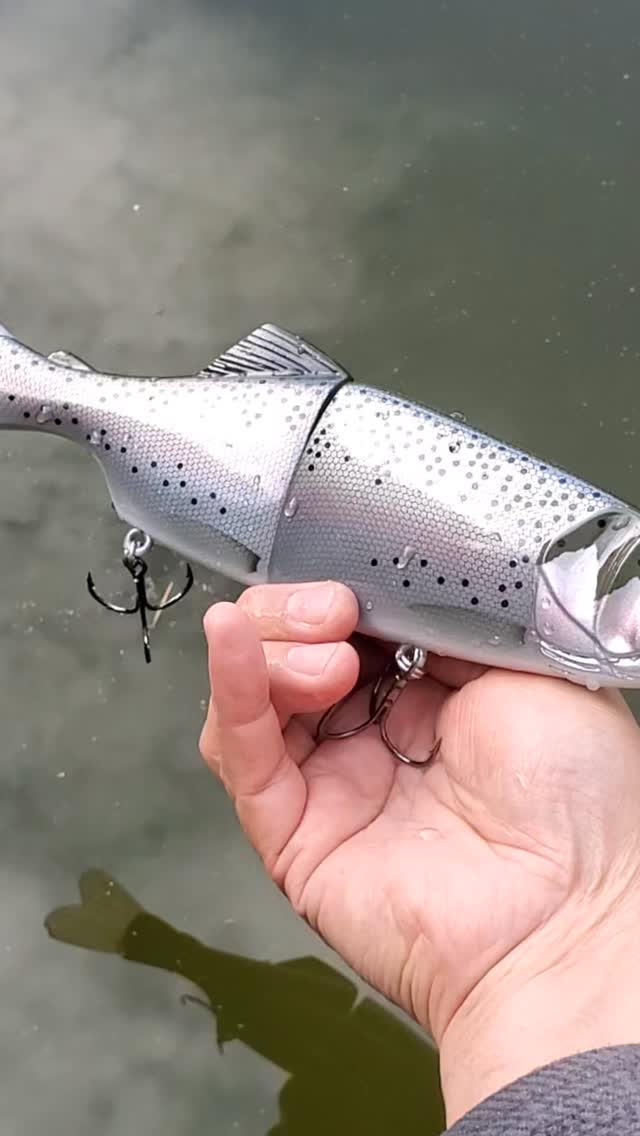 12” Trout. How to rig w/rigging insert. (video: natesbaits