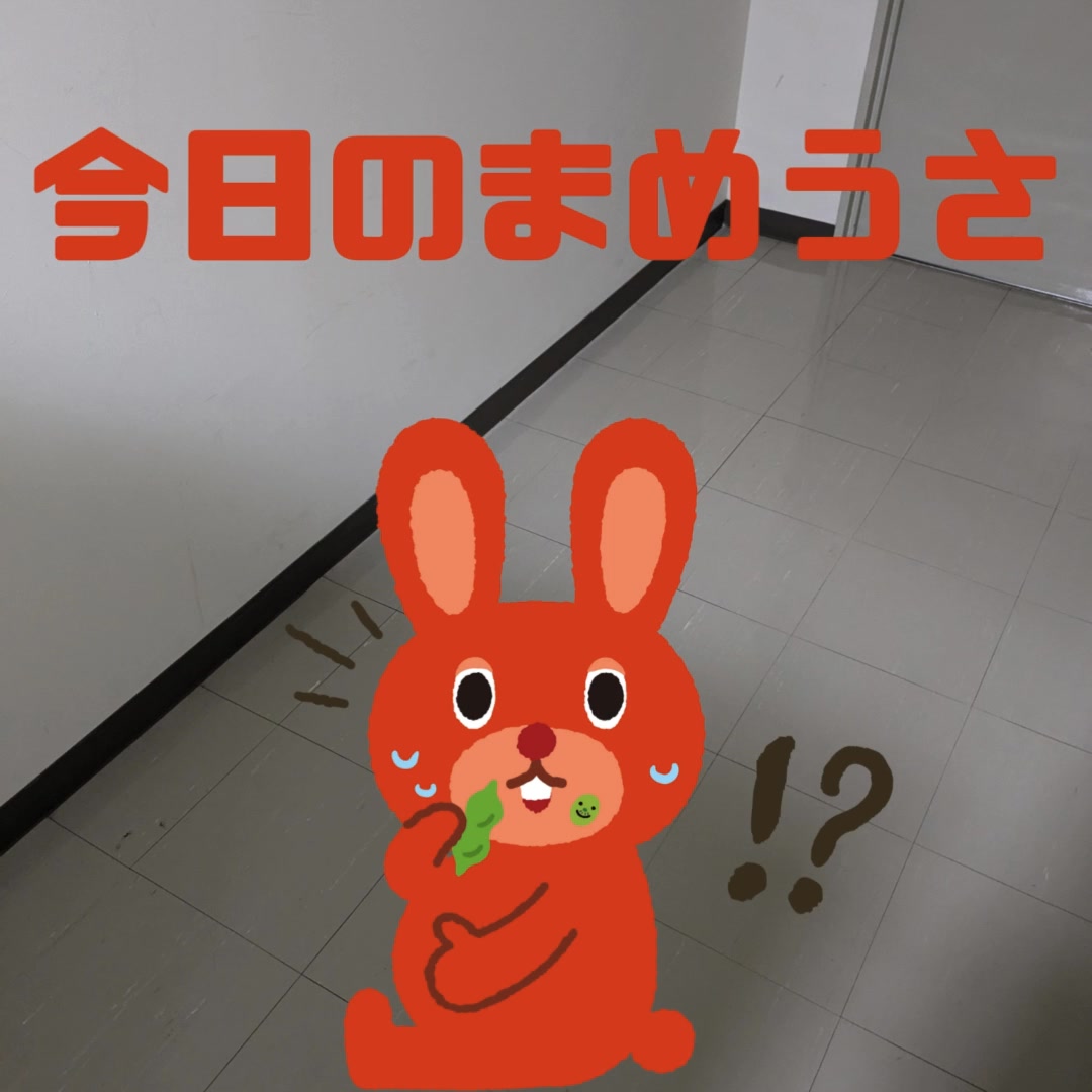 まめうさ 庄内空港ビルマスコットキャラクター まめうさ グッズ新商品 