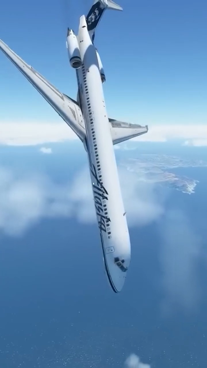 The Pilot Turned The Airplane Upside Down! | MenTour Pilot | Facebook