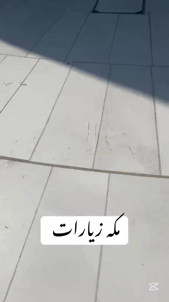 Raja Rasib Official