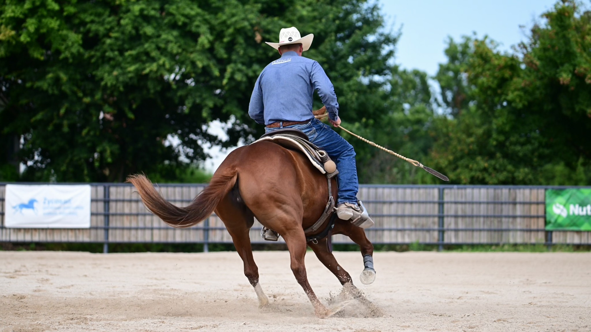 These mares are bringing the heat to the 𝐏𝐥𝐚𝐭𝐢𝐧𝐮𝐦