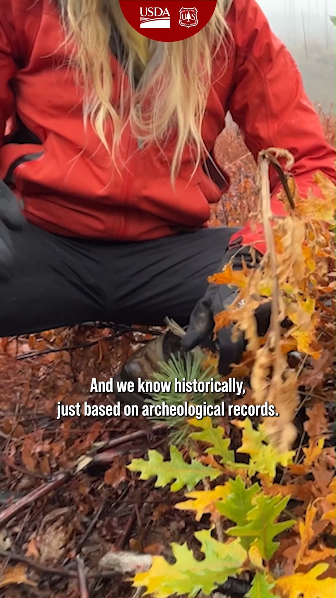 U.S. Forest Service added a new photo. - U.S. Forest Service