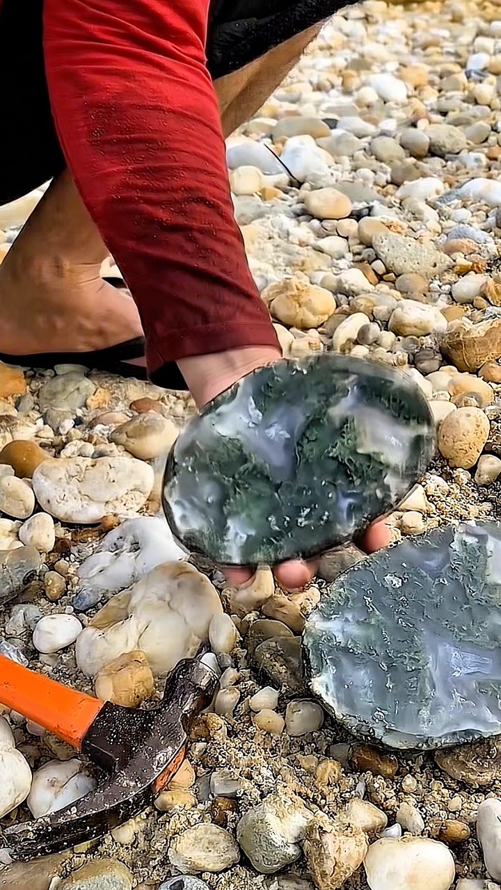 Wait… Is That a Forest Inside a Stone? Natural inclusions spread like ...
