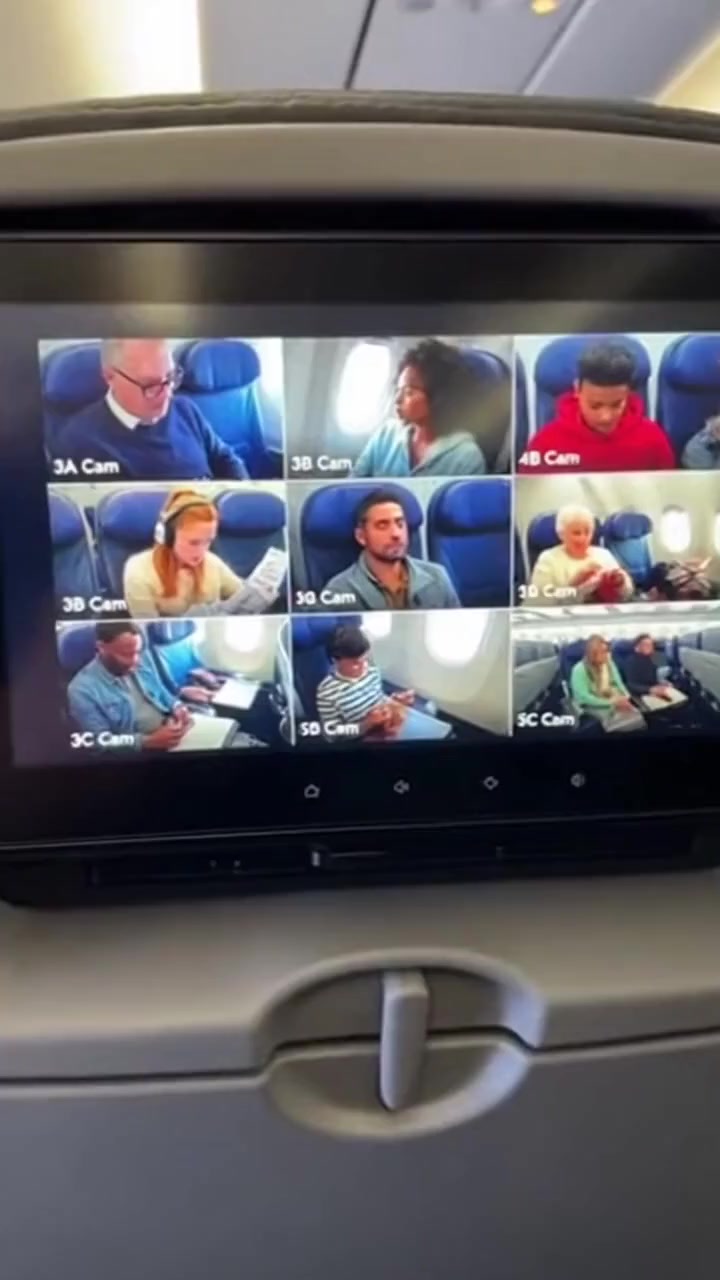 Imagine if seatback screens showed this instead of movies. Mid-flight ...