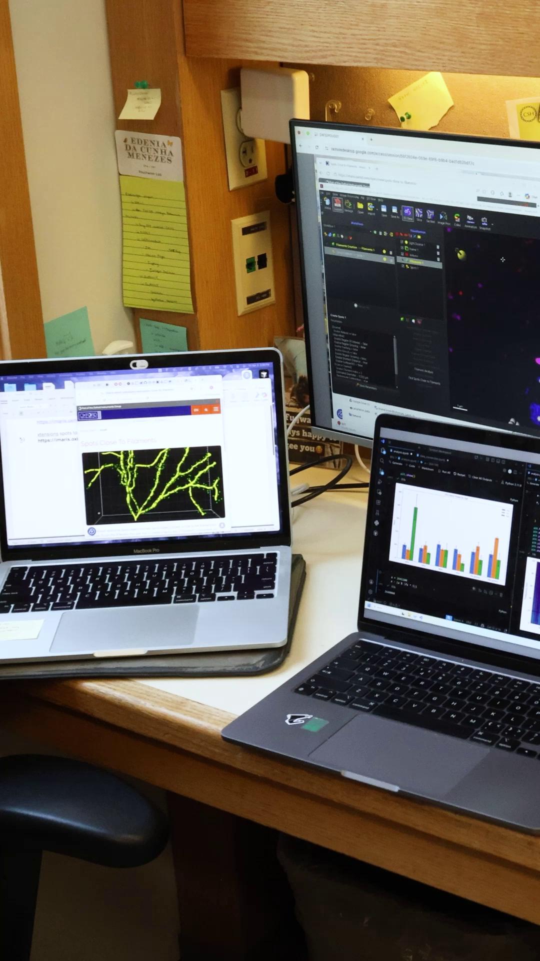 At CSHL, developmental neurobiologist Gabrielle Pouchelon, an Assistant Professor, and Postdoctoral Fellow Dimitri Dumontier are uncovering how brain development shapes autism spectrum disorder., The 