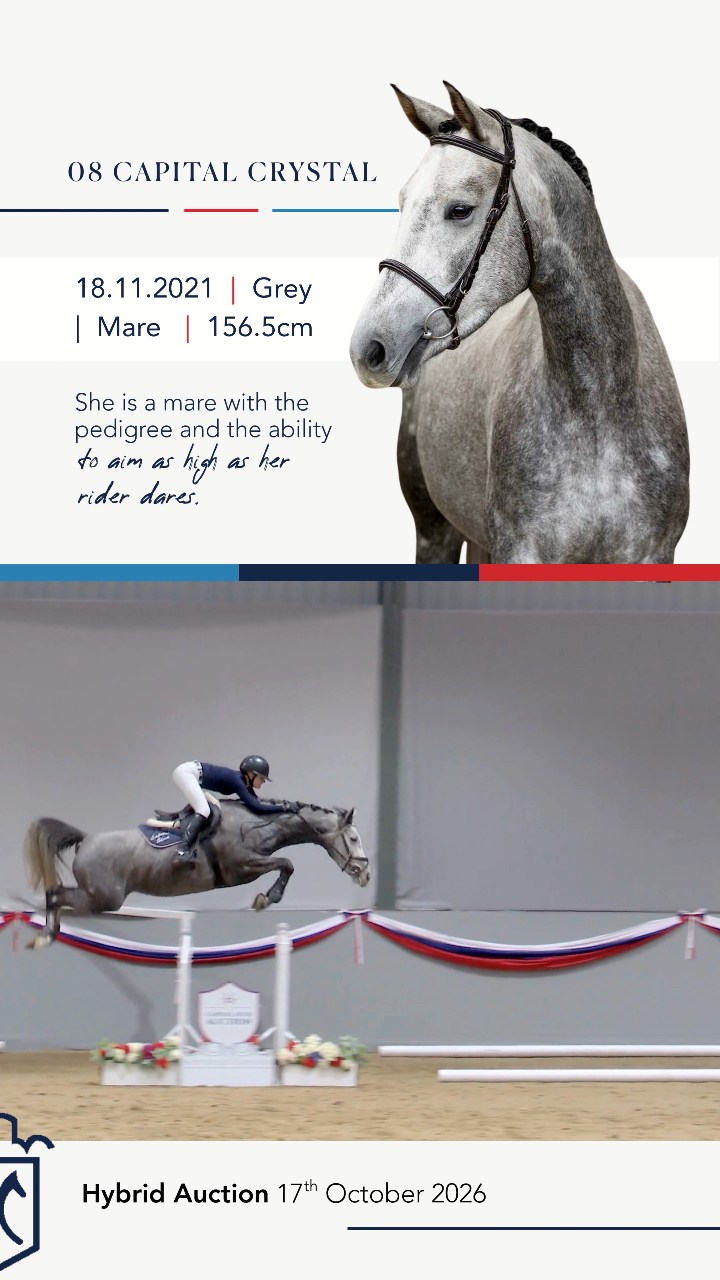 ハート LOT 08: CAPITAL CRYSTAL (Capital Cornetblue Floreval Z x Quickly