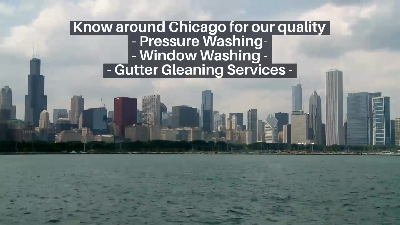 Chicago Racoons - Window & Power Washing | Chicago IL