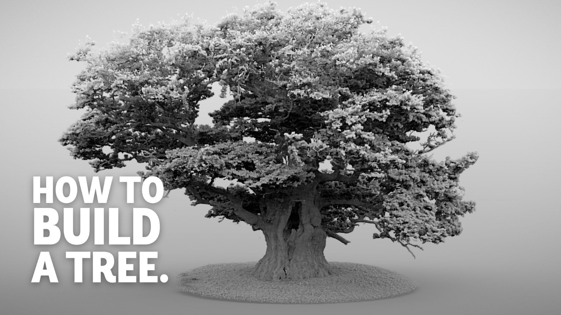 How to build a 3D tree map!🔎 🌳 With support from us, the SCATTER ...
