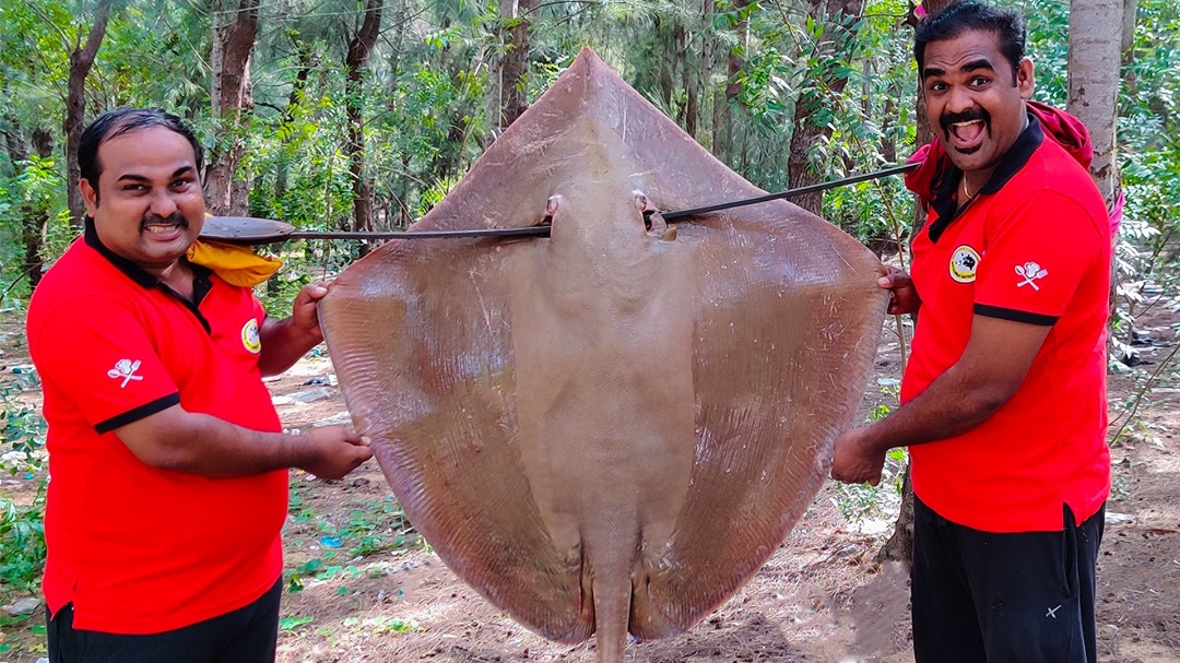 STINGRAY FISH RECIPE BILAL FISH - 99529 48267 | World Food Tube | Facebook